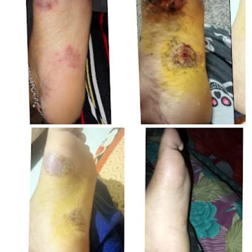 80de342d-735d-41a4-9f84-f064e5b2e68e